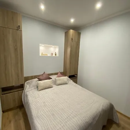 Homelike Apartment Lemberg