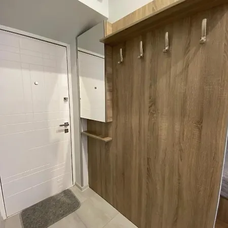 Apartment Homelike Lviv