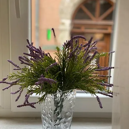 Homelike リヴィウ