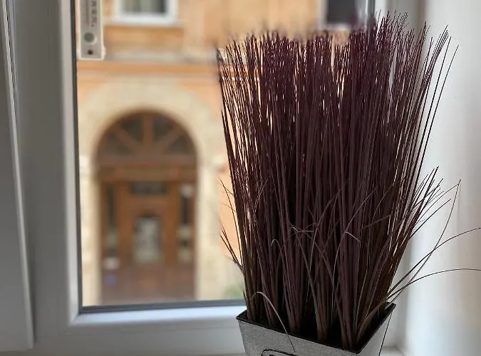 Homelike Apartamento *