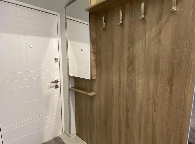 Apartment Homelike Lviv