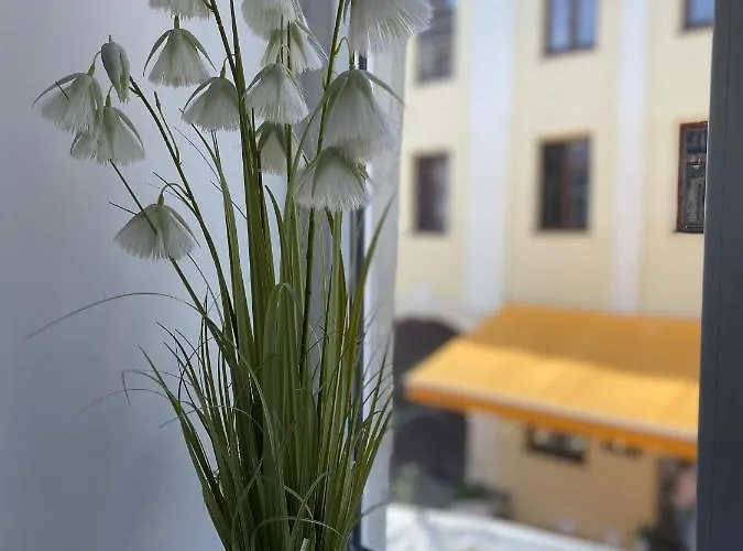 Homelike Apartment *