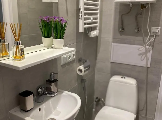 Homelike Apartment Lviv