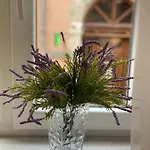 Homelike Lviv